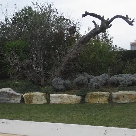 Apartamentosolpraia - Areias Da Rocha Appartement *